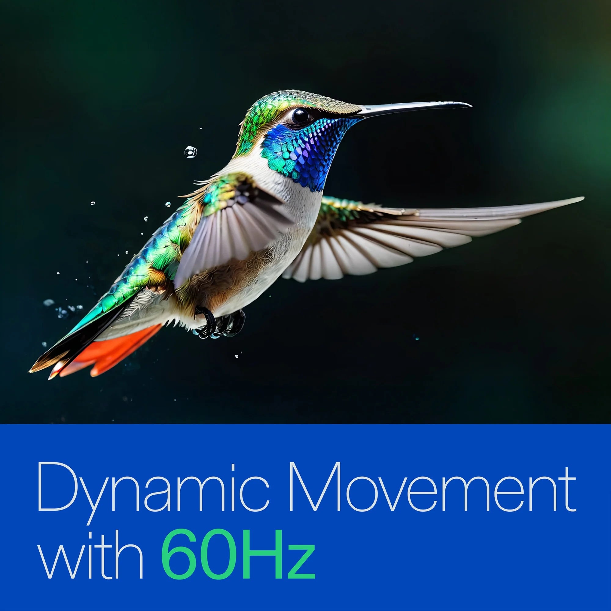 Onn. - 65” Class 4K UHD (2160P) LED Roku Smart Television HDR (100012587)